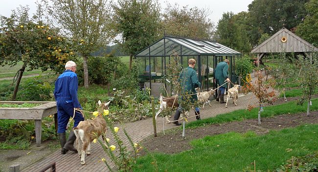 5 okt. t/m 11 okt. 2025